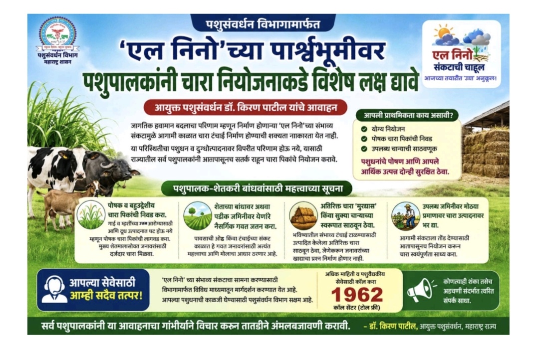 ‘एल निनो’ च्या पार्श्वभूमीवर पशुपालकांनी चारा नियोजनाकडे विशेष लक्ष द्यावे: आयुक्त डॉ. किरण पाटील यांचे आवाहन