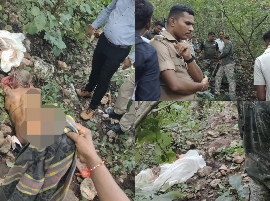 सडक अर्जुनी परिसरात वाघाच्या हल्ल्यात वृद्धाचा मृत्यू; पाटेकुर्रा येथील खळबळजनक घटना